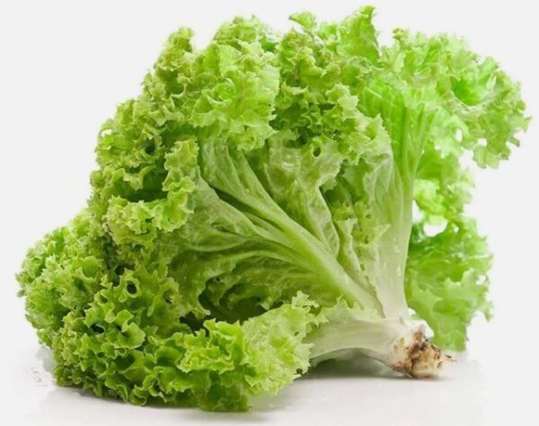 Leaf Lettuce 300g