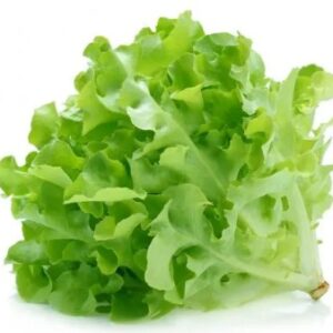 Green Oak Lettuce 250g