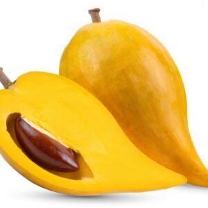 Pouteria Campechiana 1000g.