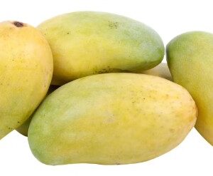 Ripe mangoes (Ok Rong variety) 1 kg
