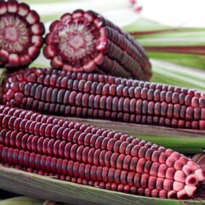 Purple Corn 1000g