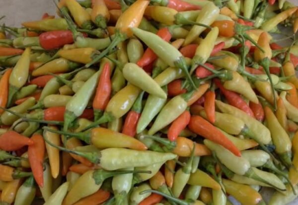 Local Bird’s Eye Chilies 300g