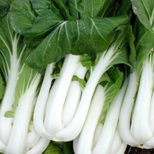 ผักกาดฮ่องเต้ก้านขาว 300g