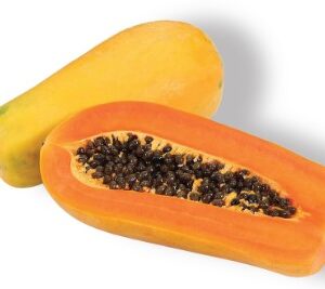 Holland papaya 1-1.5 kg/fruit