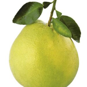 Per pomelo 2-3 kg