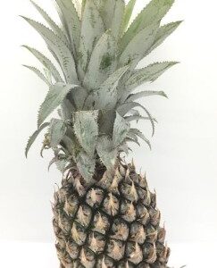 Phuket pineapples, 5 pieces/pack.