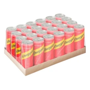 Ginger shweppes.webp