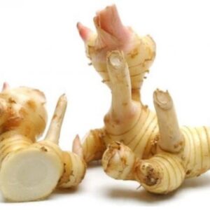 Young galangal 0.5 kg.