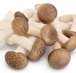 Black Reishi Mushroom 0.5 kg