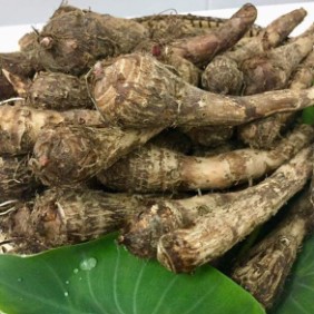 Taro, 1 kg (per head)