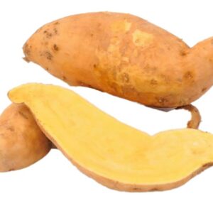 TC12Sweet potato (yellow).jpg