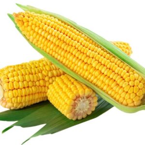 Fresh corn 1 kg