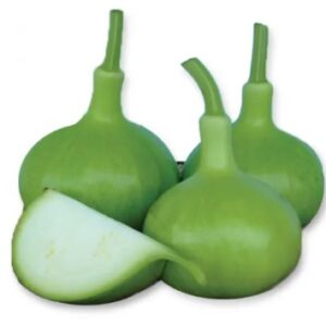 Gourd 1 kg