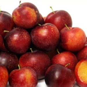 Cherry from Doi (5 kg)