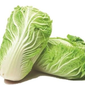 V026Chinese Cabbage.jpg