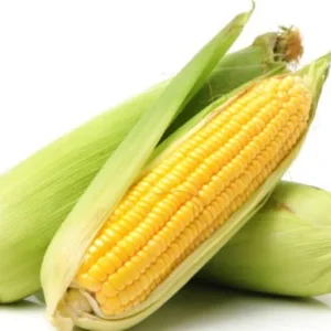 ข้าวโพด.jpg