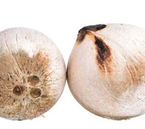 มะพร้าวเผา .jpg