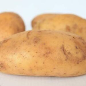 มันฝรั่งไทย เบอร์ โอ 10 กก.jpg