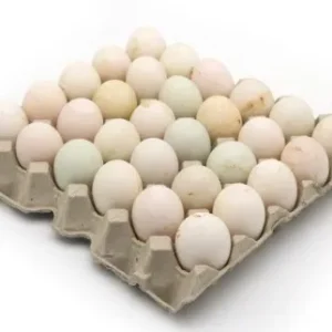 ไข่เป็ด 1 แผง.jpg