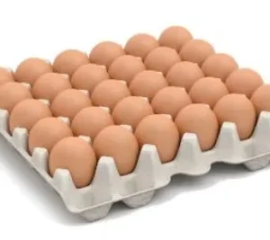 ไข่ไก่ เบอร์3.jpg