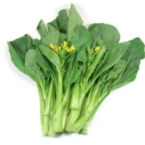 Chinese Mustard for Catering 5 kg