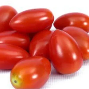 Queen tomatoes 5 kg