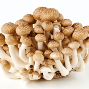 Shimeji Mushroom 1kg.