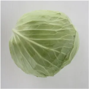 Cabbage