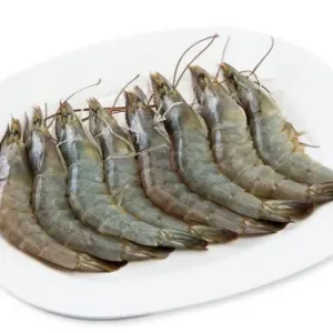 FRESH Whiteleg Shrimp 20-25 pcs./1 kg.