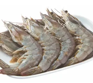 FRESH Whiteleg Shrimp 41-45 pcs./1 kg.