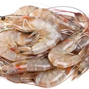 FRESH Whiteleg Shrimp  90  pcs./1 kg.