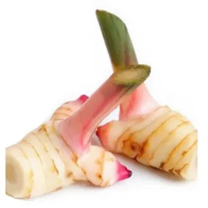 Young galangal 1 kg.