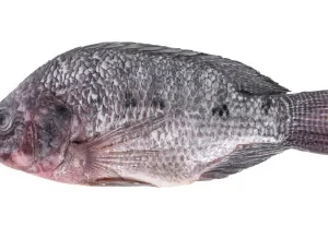 Tilapia (Scale and Entrails off) 0.5-0.7 kg. /each