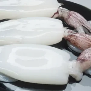 Whole Cleaned Squid Skin Off Size big / 1kg