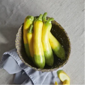 Crookneck Squash,Gooseneck Squash