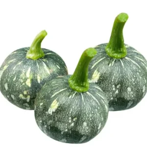 Young pumpkin 5 kg