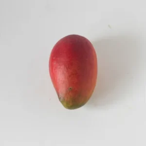 Irwin Mango