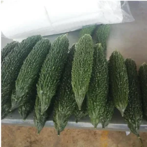 Bitter Gourd Green