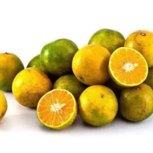 Sai Nam Phueng oranges for juicing, 10 kg