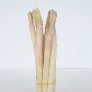 White Asparagus