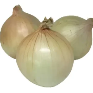 Onions (Thai) 10 kg