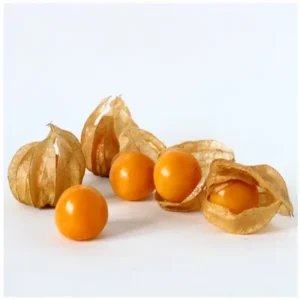 Gooseberry Cape RP/Physallis