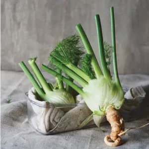 Fennel