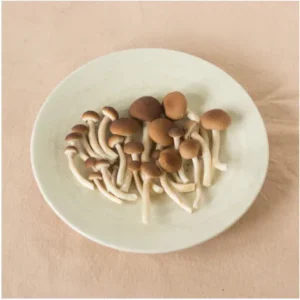 Yanagi Mitsutake Mushroom
