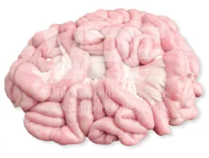 Pork Intestines 1 kg