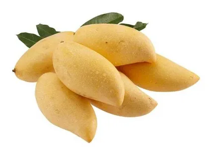 มะม่วงน้ำดอกไม้ .png